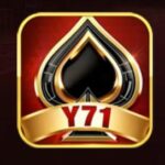 Y71